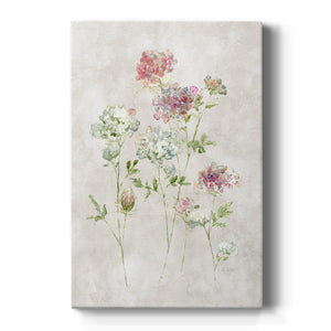 Soft Lace I Premium Gallery Wrapped Canvas - Ready to Hang