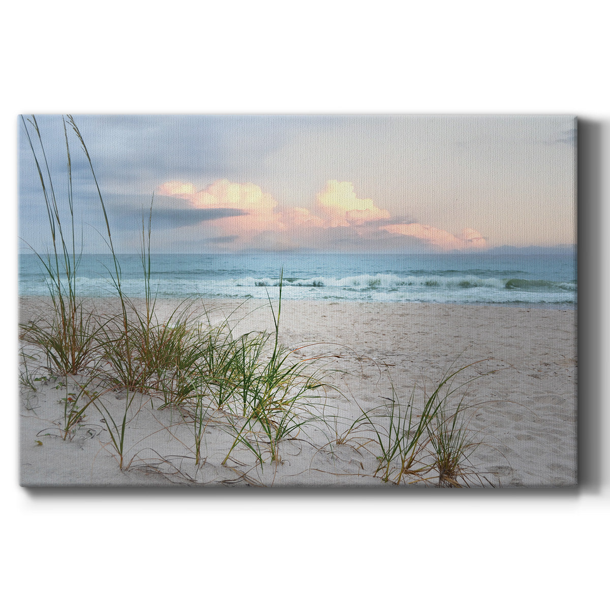 Beach Driftwood - Canvas Art Print