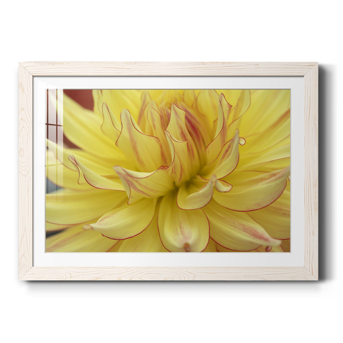 Celebrate-Premium Framed Print - Ready to Hang
