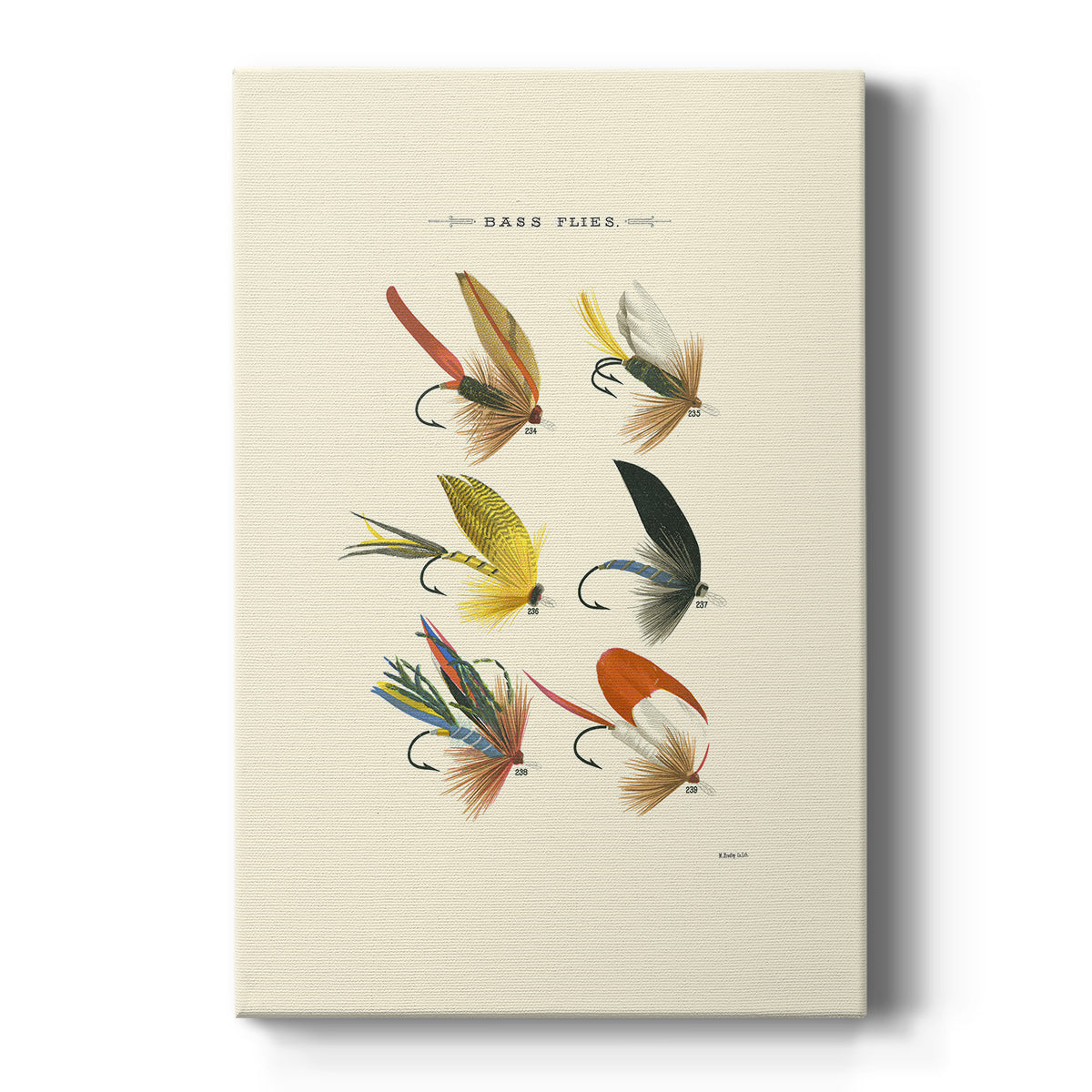 Bass Flies I - Canvas Art Print