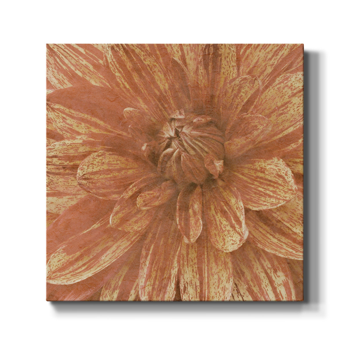 Wall Flower IX - Canvas Art Print