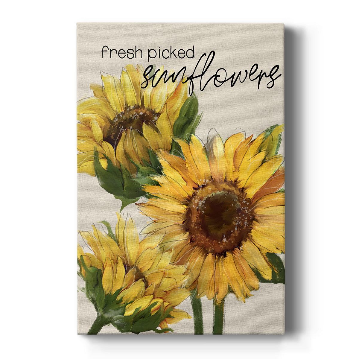Fresh Picked Sunflowers - Canvas Art Print