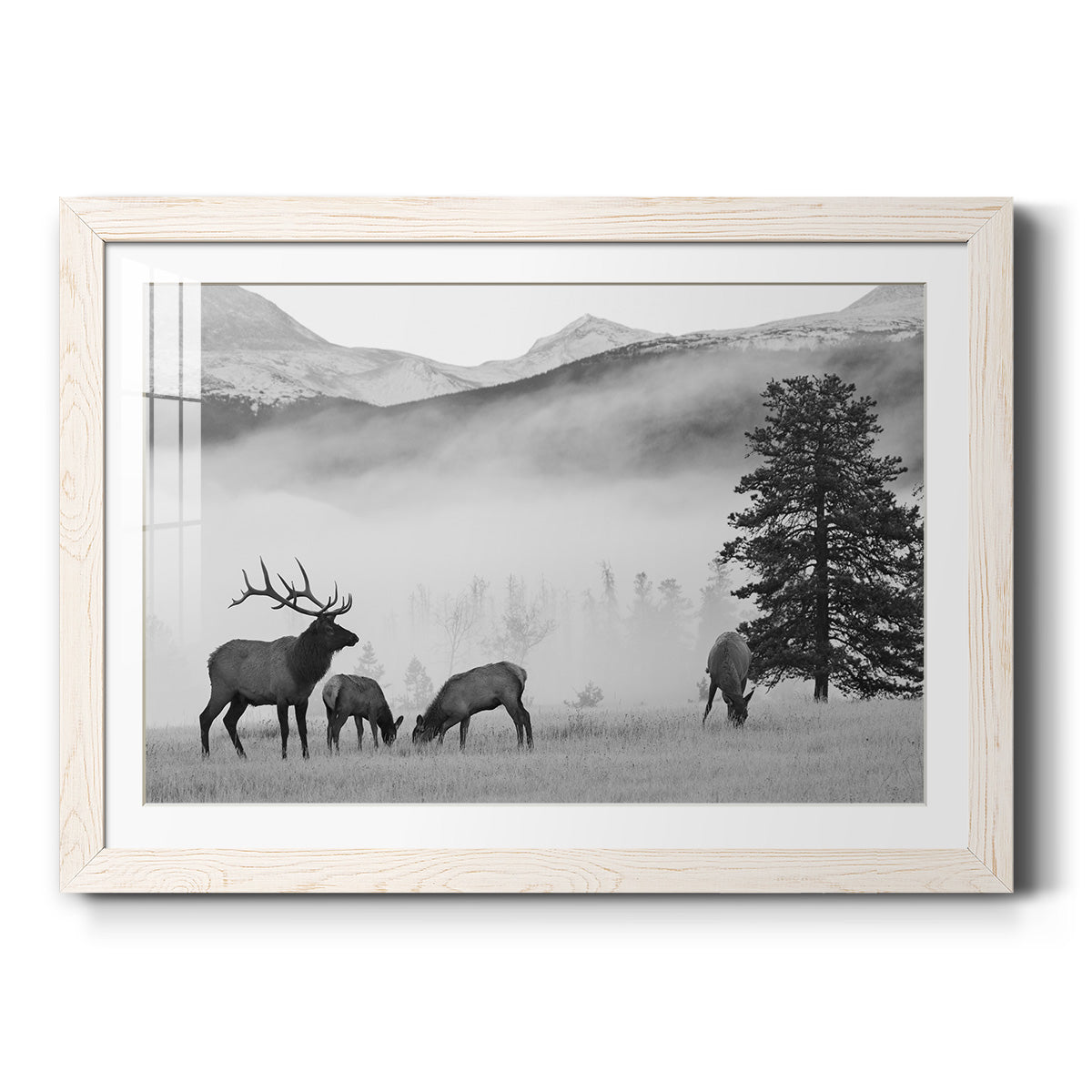 Celebrate-Premium Framed Print - Ready to Hang