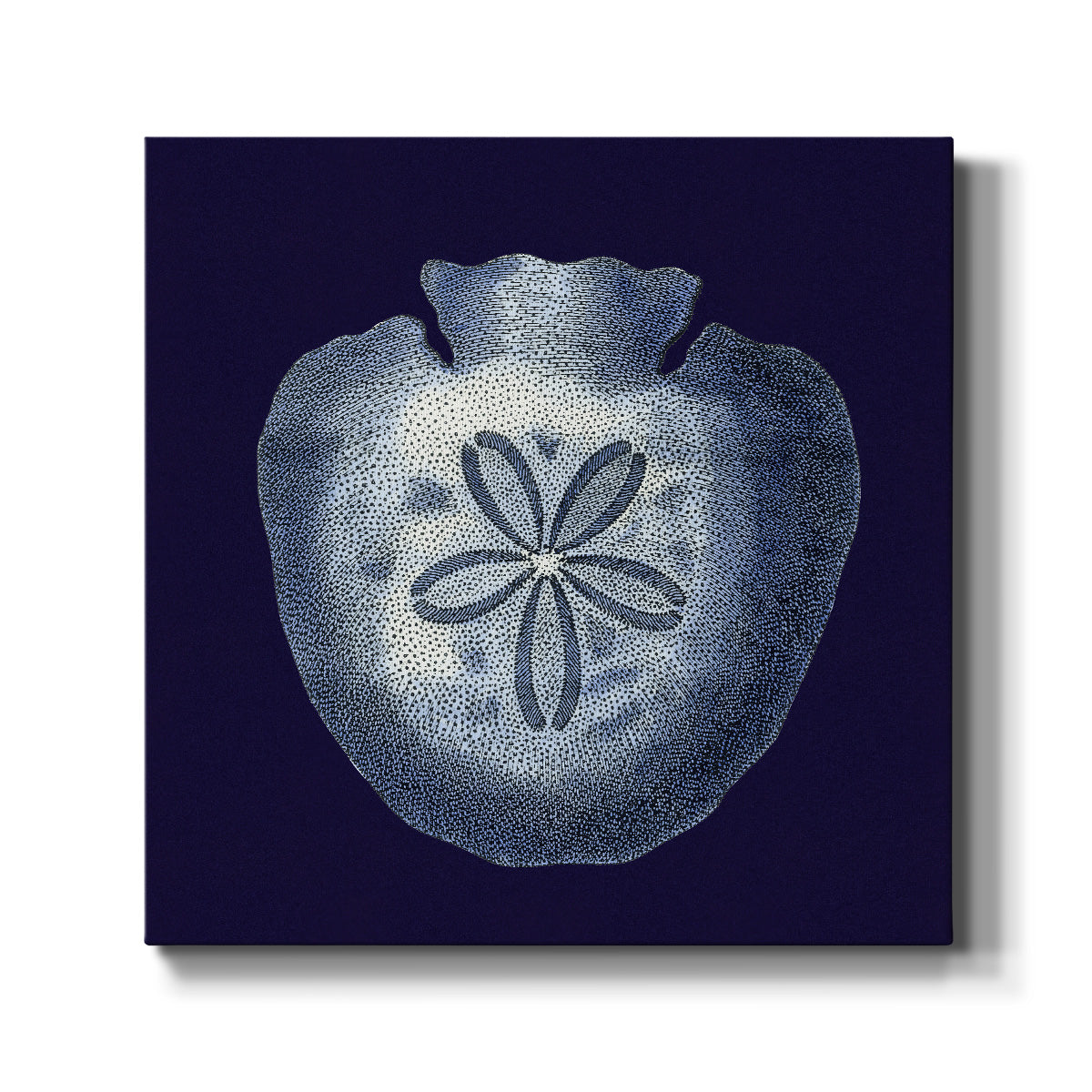 Indigo Shells III - Canvas Art Print