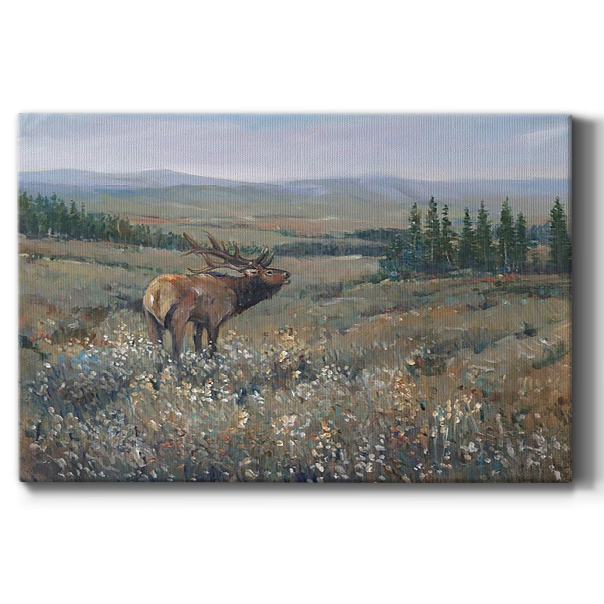 Western Wildlife I Premium Gallery Wrapped Canvas - Ready to Hang
