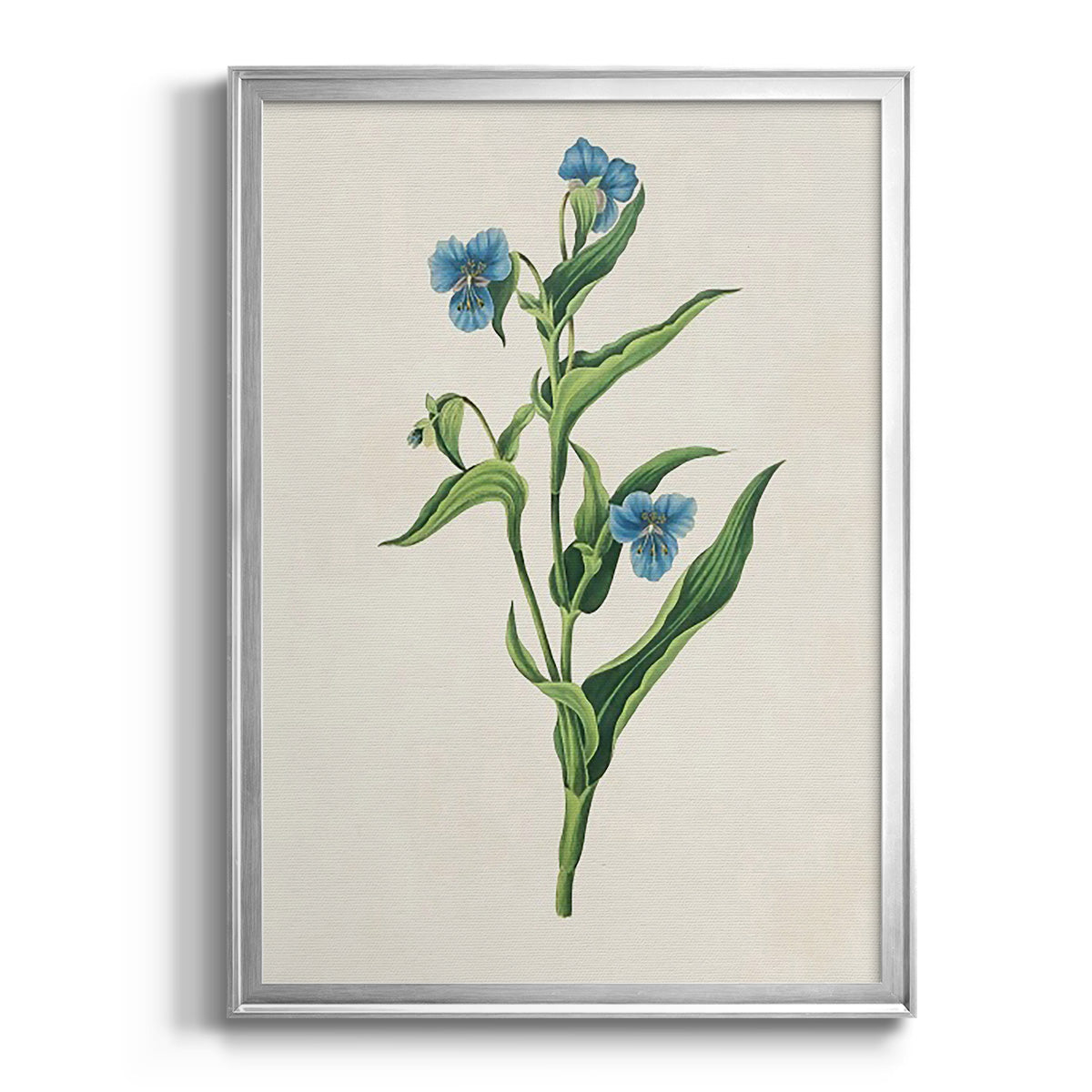 Flowers of the Seasons V Premium Framed Print - Ready to Hang