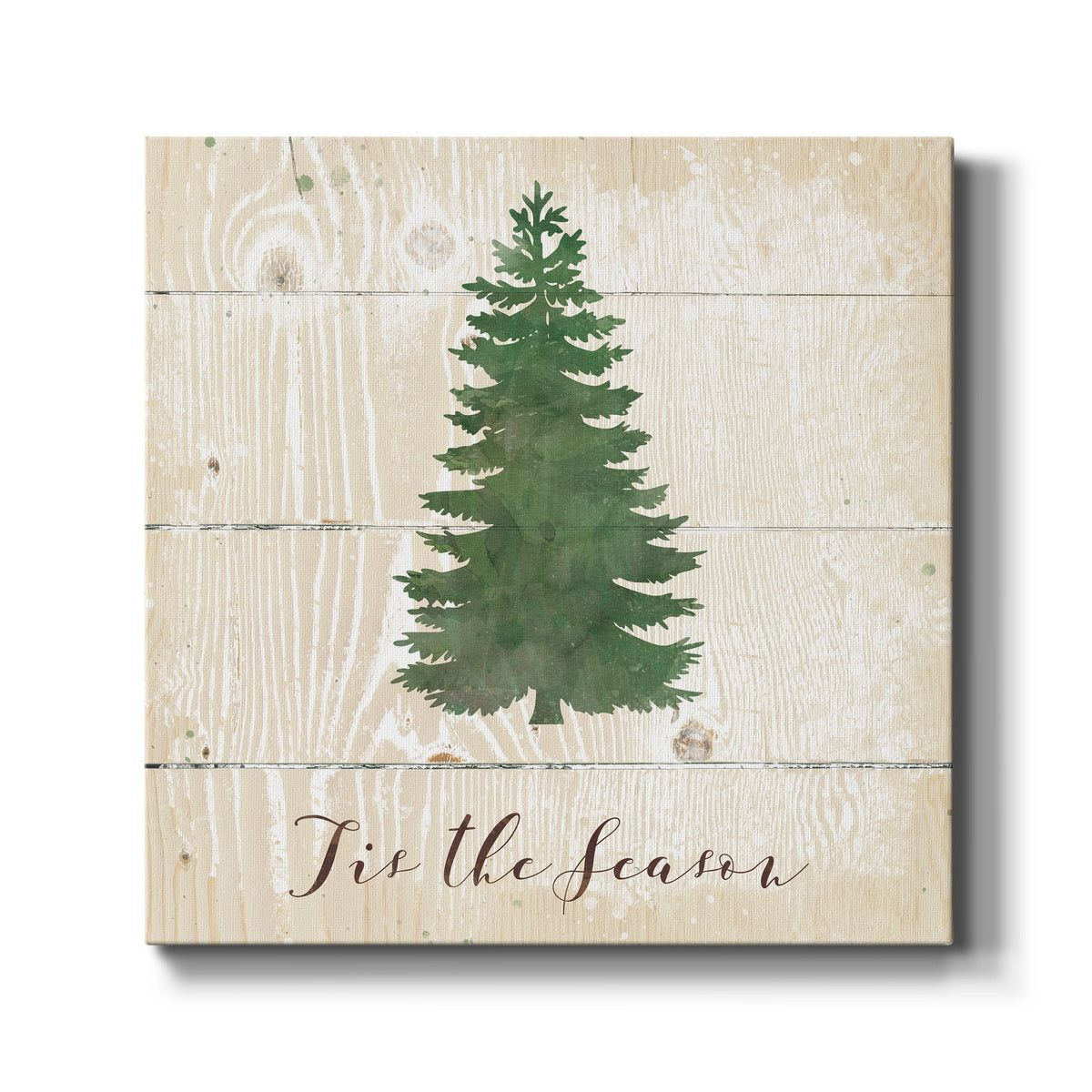 Tis the Season Pine - Canvas Art Print