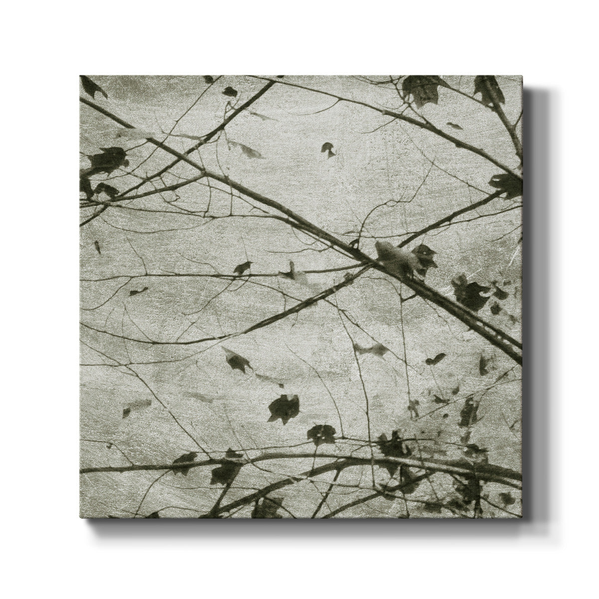 Laced Sky IV - Canvas Art Print
