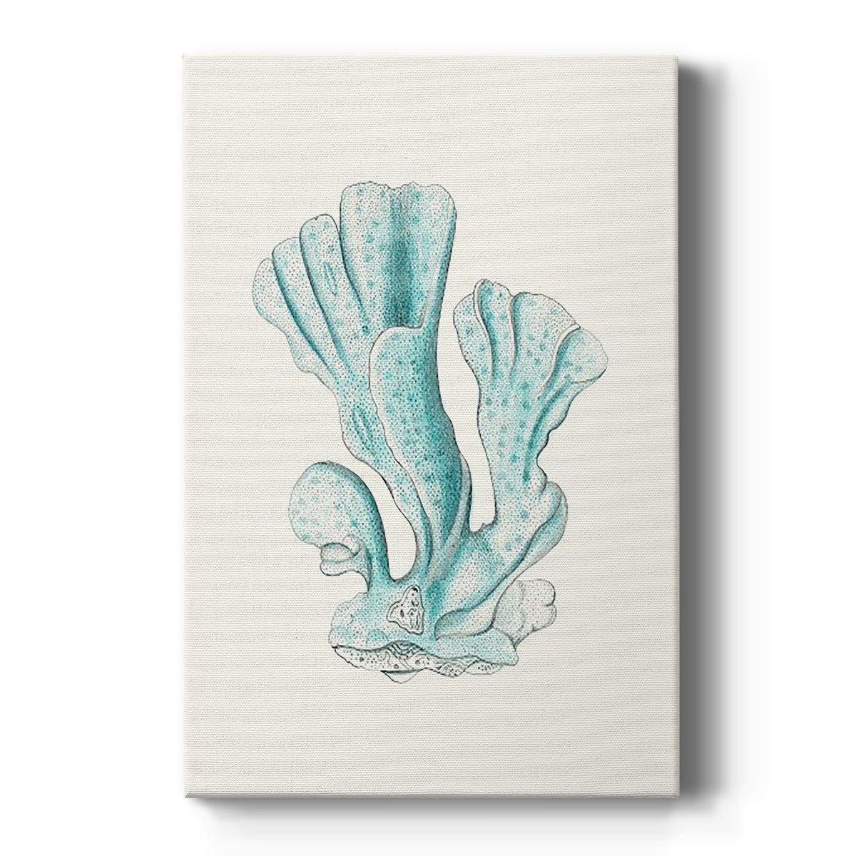 Antique Coastal Coral XI Premium Gallery Wrapped Canvas - Ready to Hang