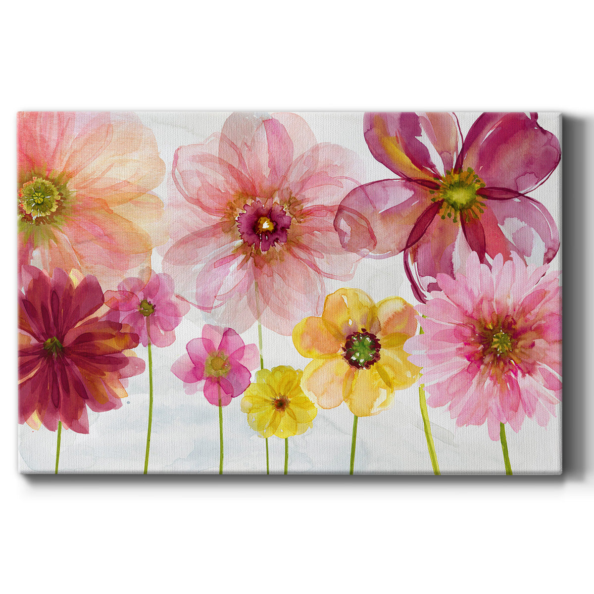 Pop Of Spring - Canvas Art Print