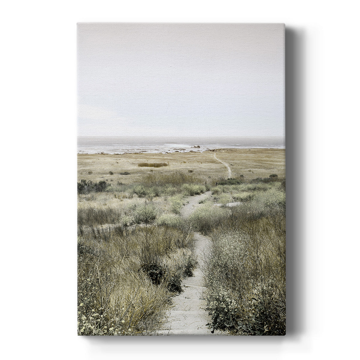 Footpath to Paradise - Canvas Art Print