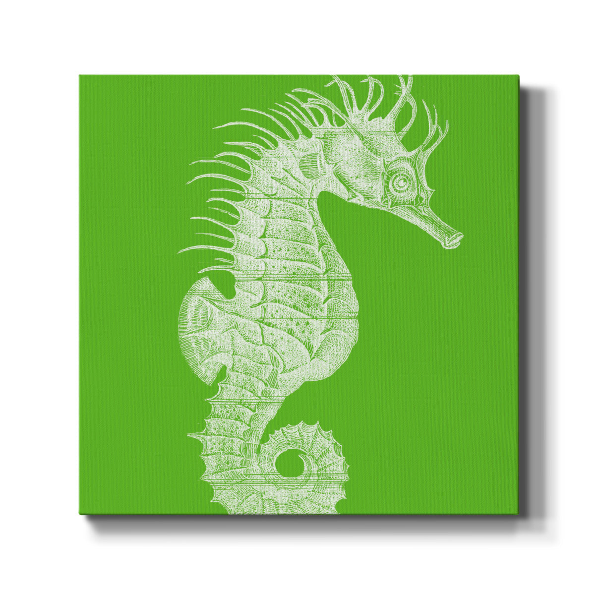 Saturated Sea Life II - Canvas Art Print