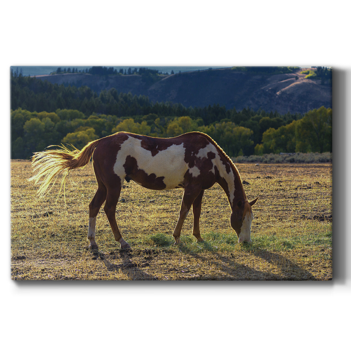 Breakfast Premium Gallery Wrapped Canvas - Ready to Hang