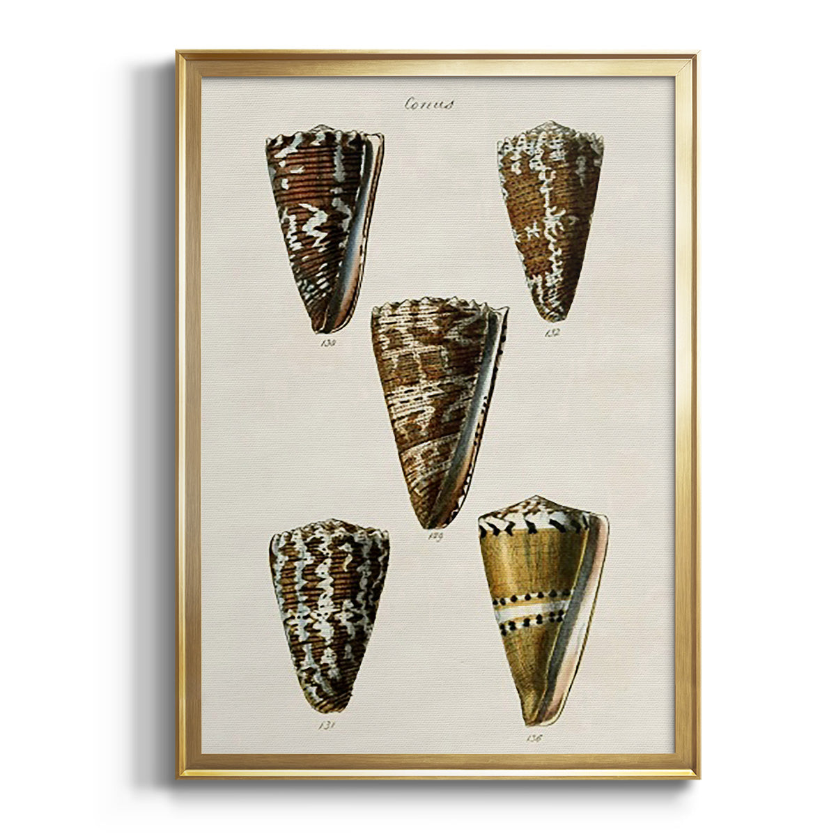 Sepia Botanical Journal I - Modern Framed Canvas Print