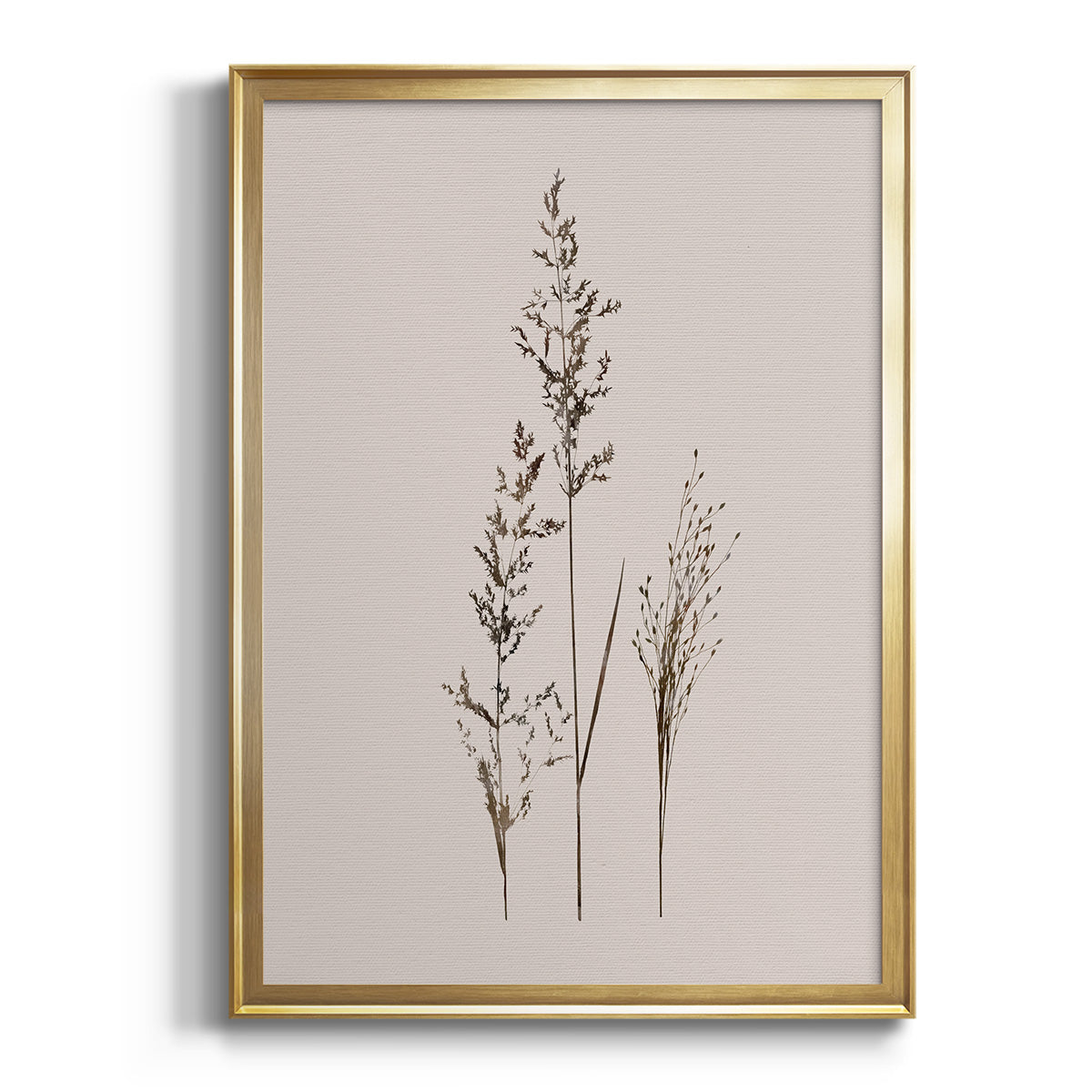 Sepia Botanical Journal I - Modern Framed Canvas Print