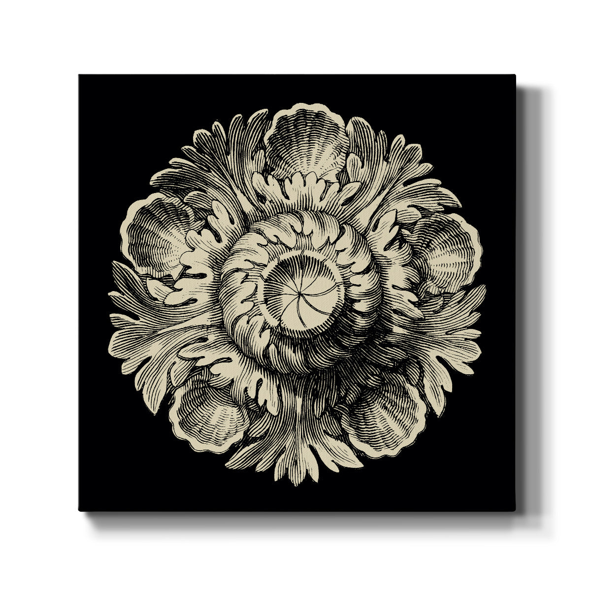 Black and Tan Rosette III - Canvas Art Print