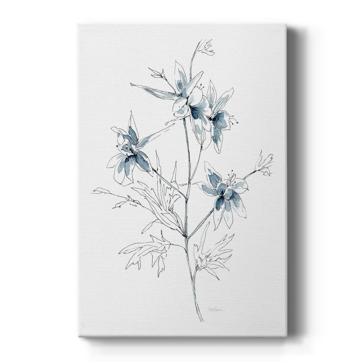 Indigo Sketch II - Canvas Art Print