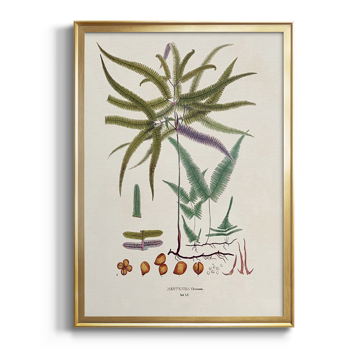 Sepia Botanical Journal I - Modern Framed Canvas Print