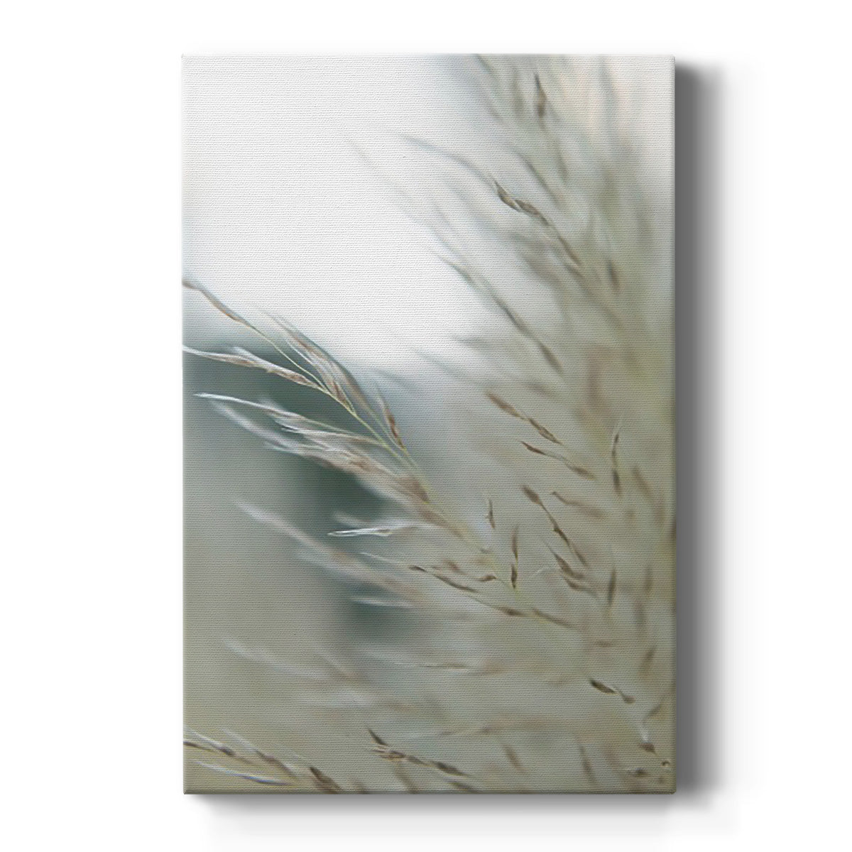 Subtle Grasses II - Canvas Art Print