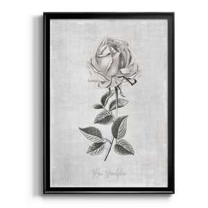 Vintage Botanical II Premium Framed Print - Ready to Hang