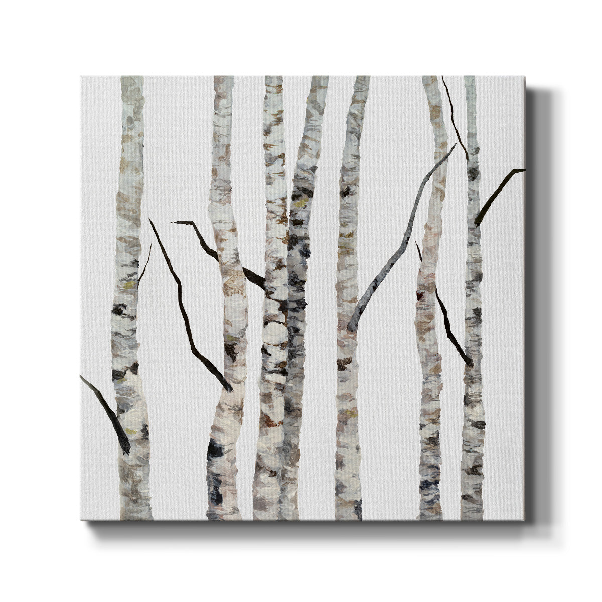Birch Trees II - Canvas Art Print