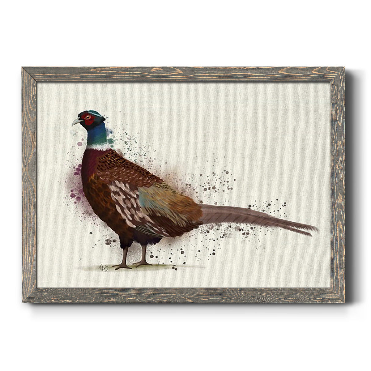 Pheasant Splash 1-Premium Framed Canvas - Ready to Hang