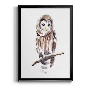 Barred Owl Impressions I Premium Framed Print - Ready to Hang