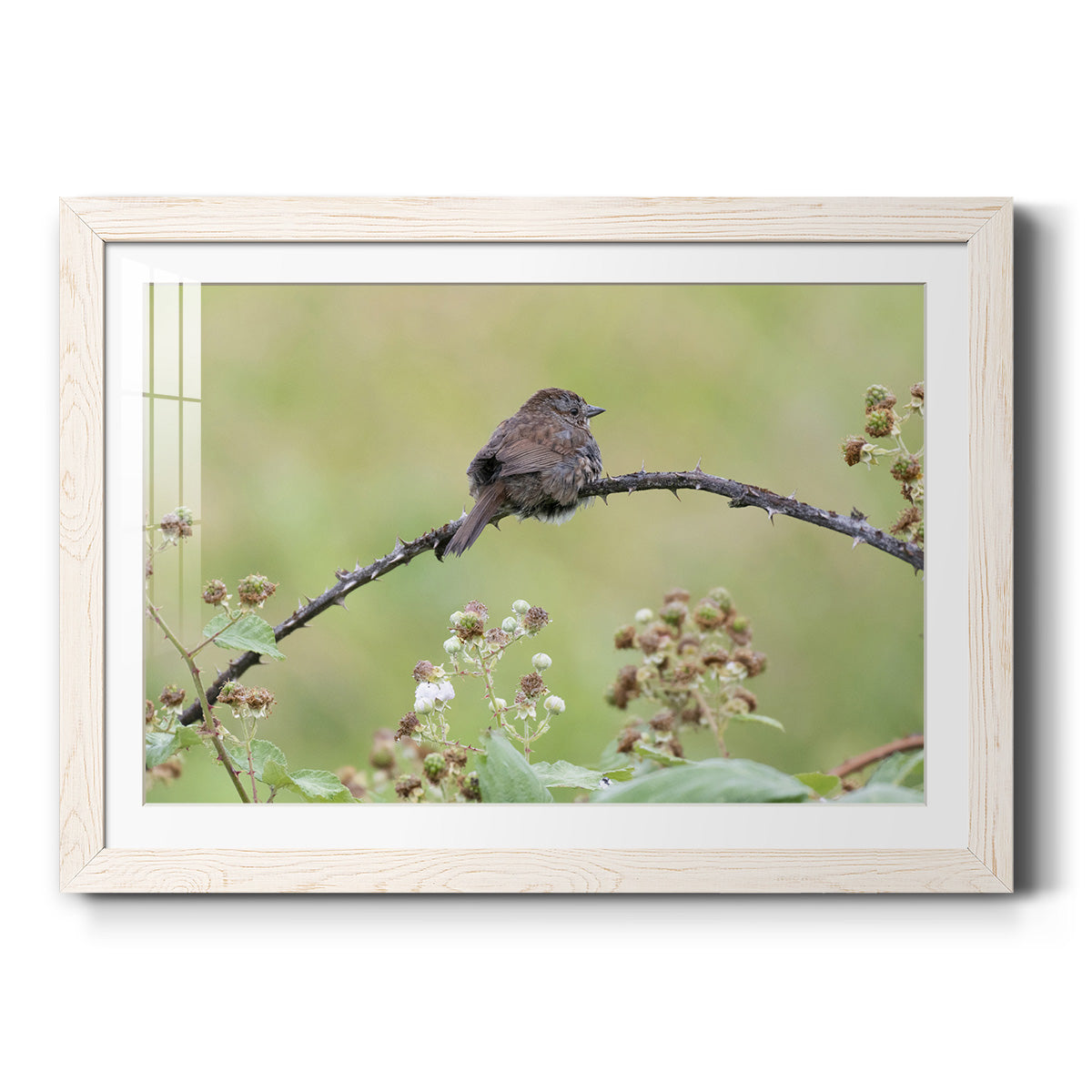 Celebrate-Premium Framed Print - Ready to Hang