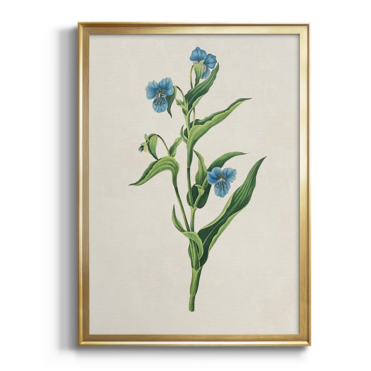 Sepia Botanical Journal I - Modern Framed Canvas Print