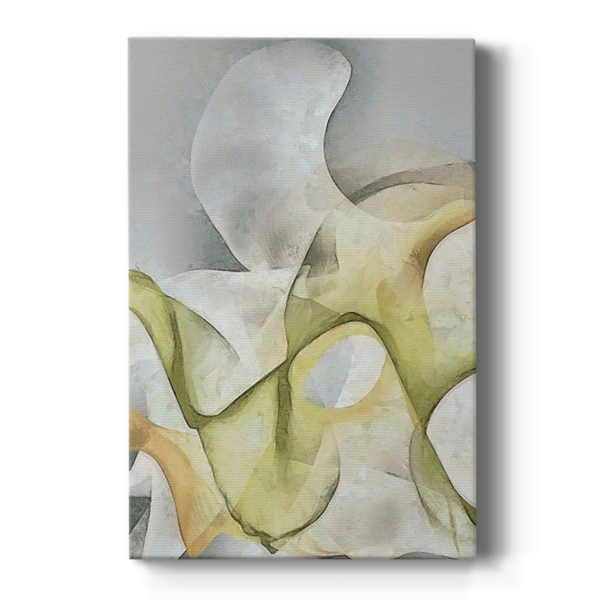 Excursion I Premium Gallery Wrapped Canvas - Ready to Hang
