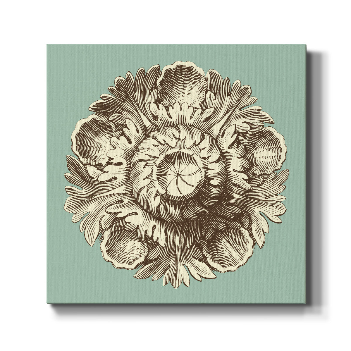CKd Celadon&Mocha Rosette III (NC) - Canvas Art Print