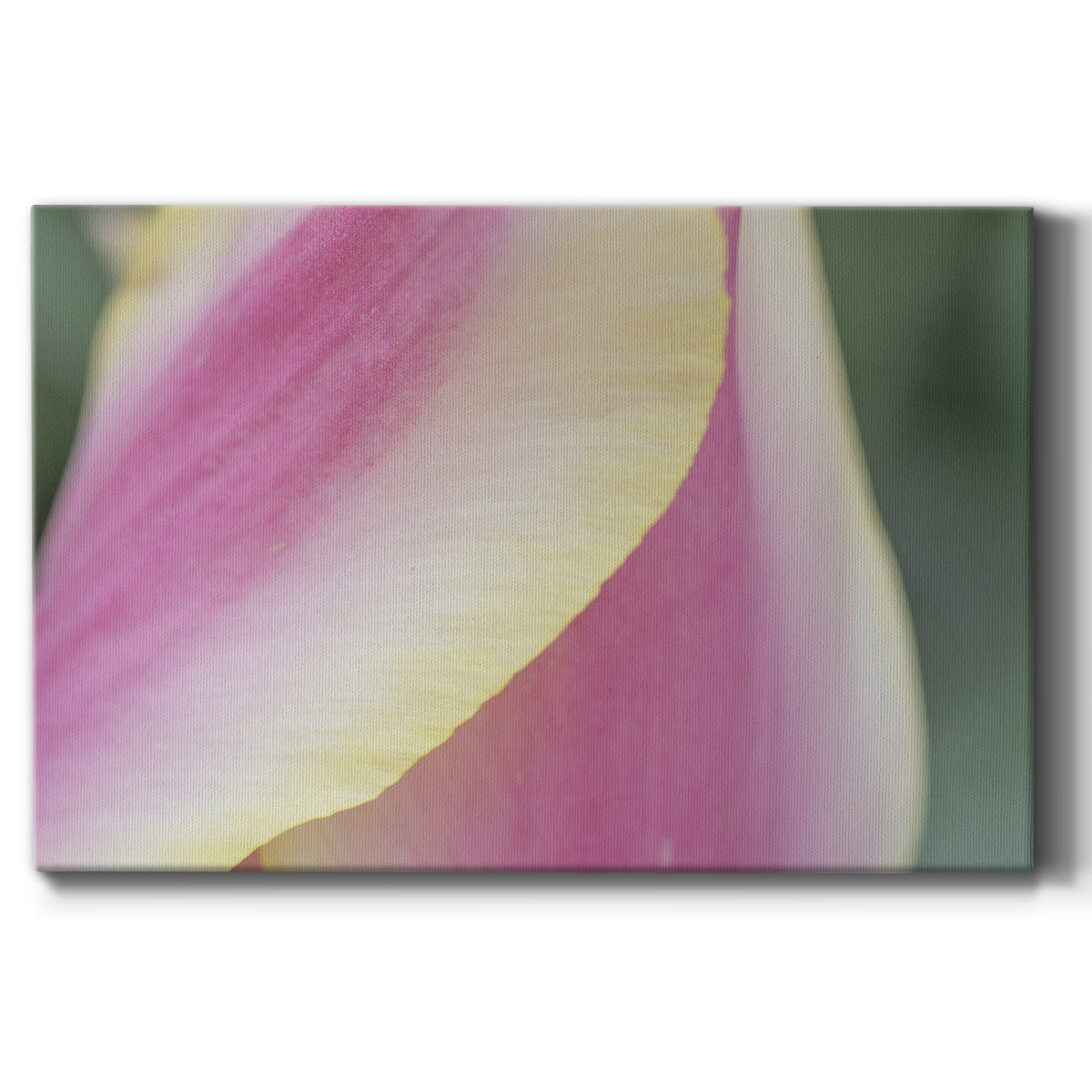 Delicate - Canvas Art Print