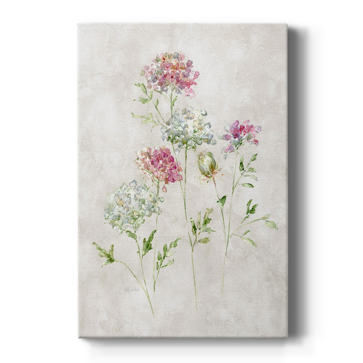 Soft Lace II Premium Gallery Wrapped Canvas - Ready to Hang
