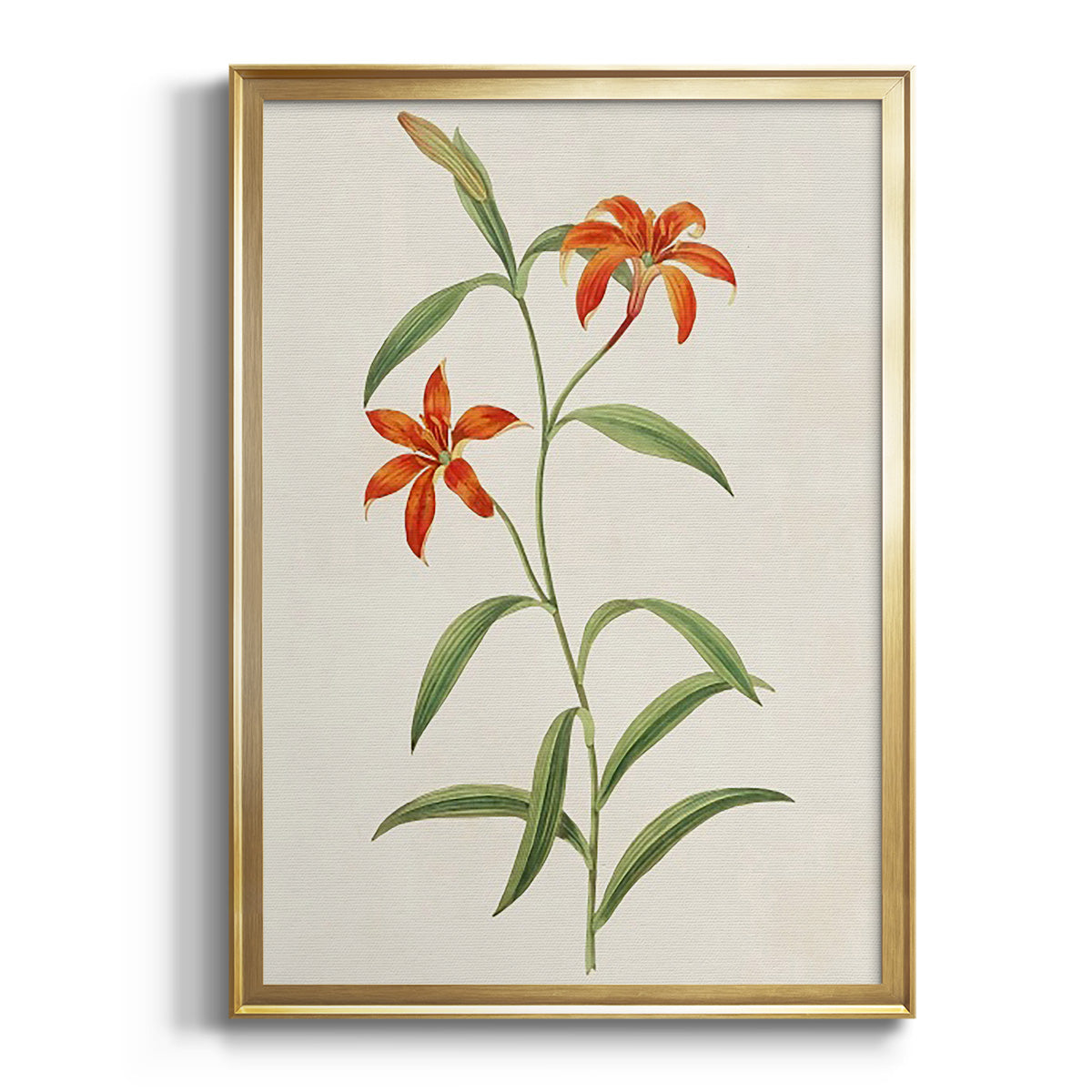 Sepia Botanical Journal I - Modern Framed Canvas Print
