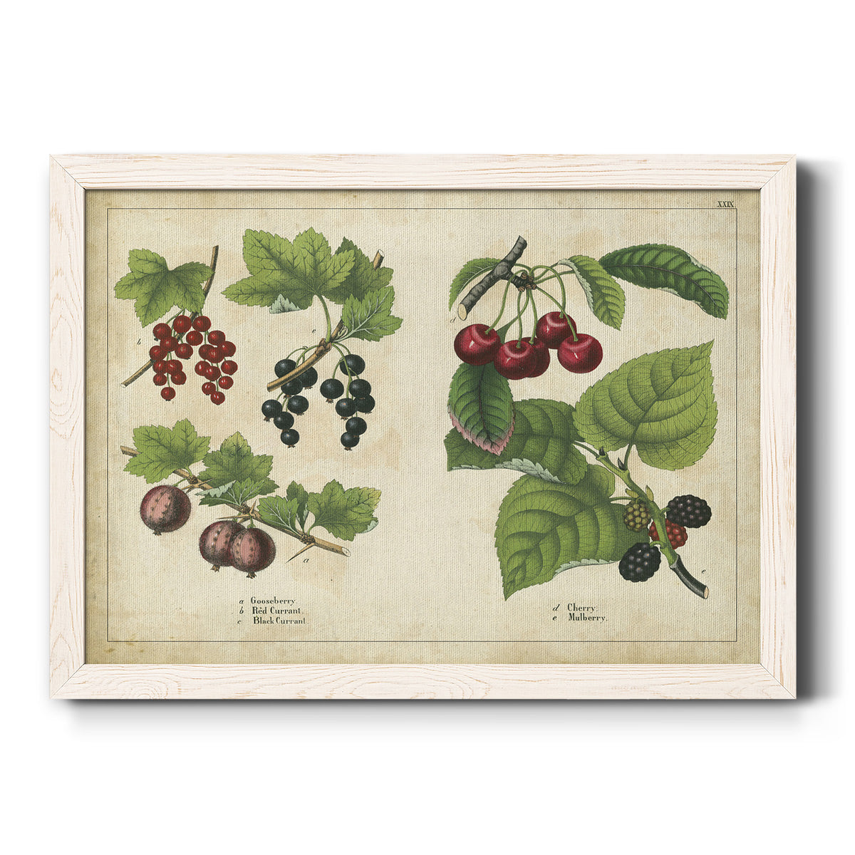 Kitchen Fruits III-Premium Framed Canvas - Ready to Hang
