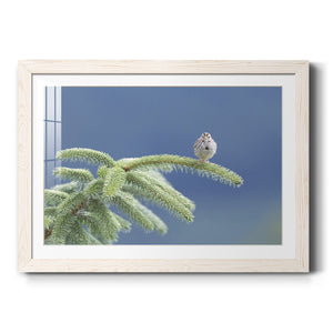 Evergreen Perch-Premium Framed Print - Ready to Hang