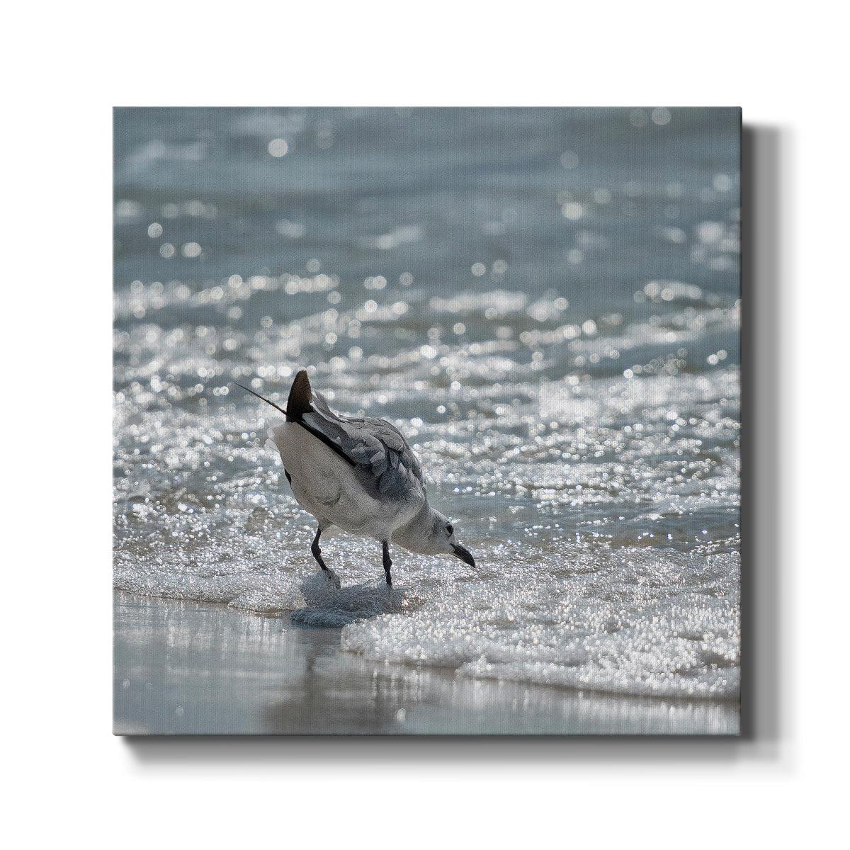 Bottoms Up - Canvas Art Print