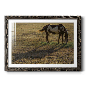 Long Shadow-Premium Framed Print - Ready to Hang