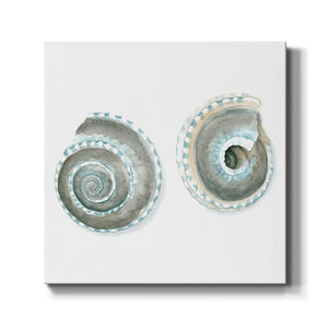 Watercolor Shells IV-Premium Gallery Wrapped Canvas - Ready to Hang
