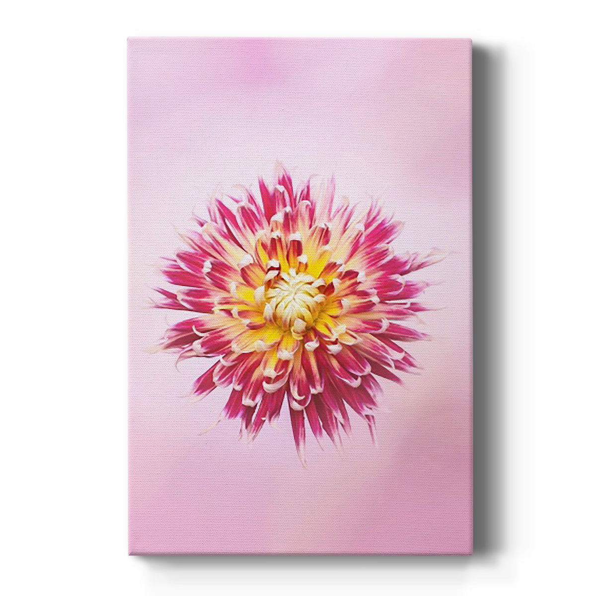 Exotic Flower Burst I Premium Gallery Wrapped Canvas - Ready to Hang