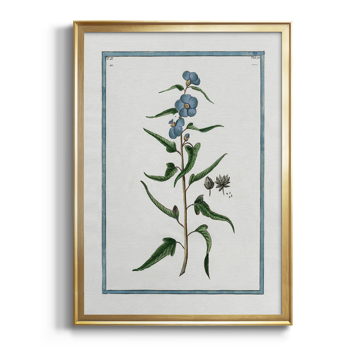 Sepia Botanical Journal I - Modern Framed Canvas Print