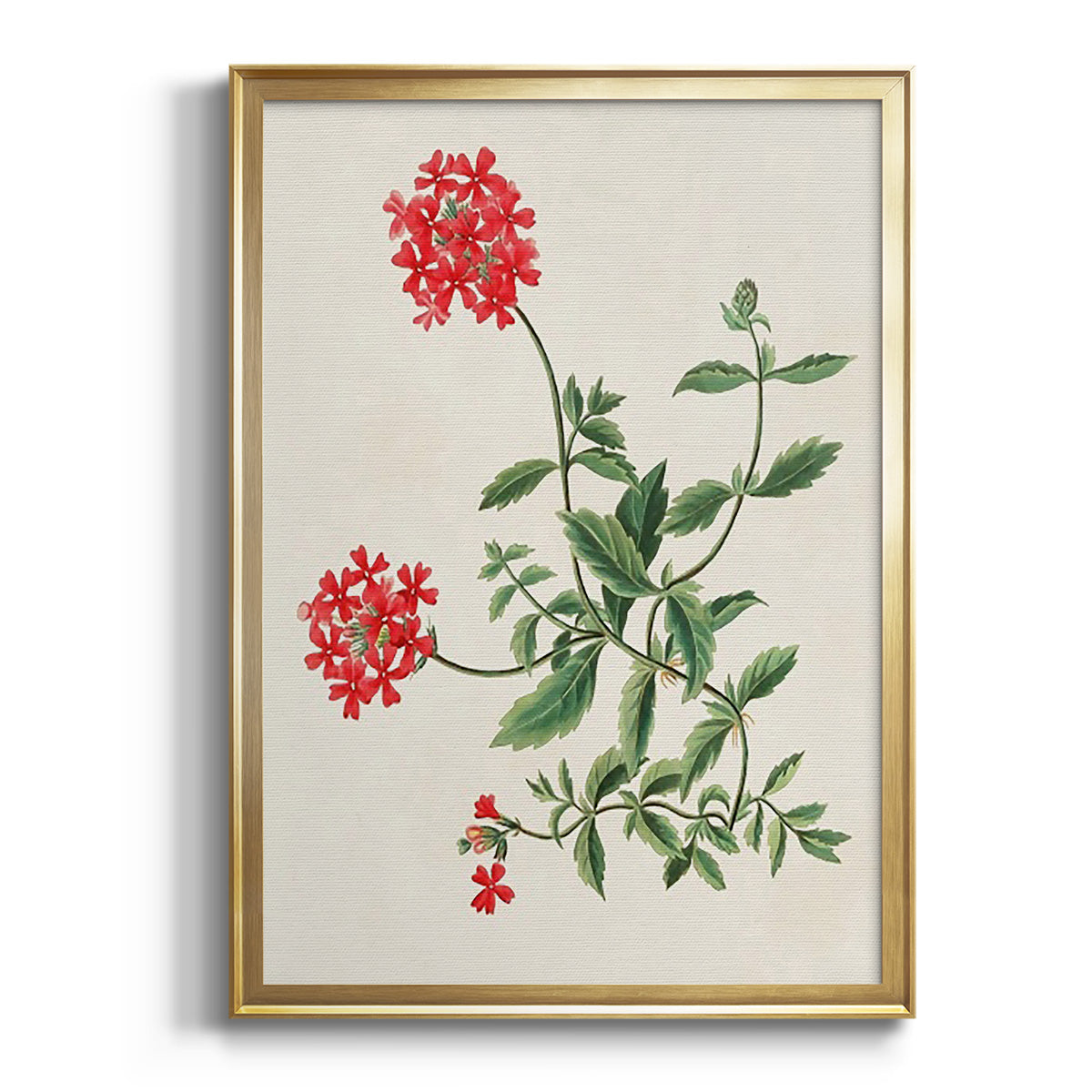 Sepia Botanical Journal I - Modern Framed Canvas Print