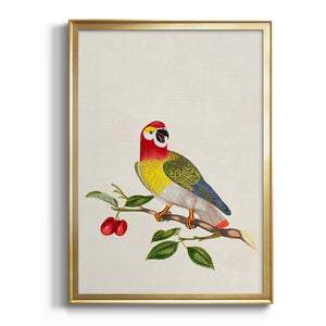 Bird in Habitat VI Premium Framed Print - Ready to Hang