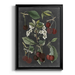 Orchard Varieties I Premium Framed Print - Ready to Hang