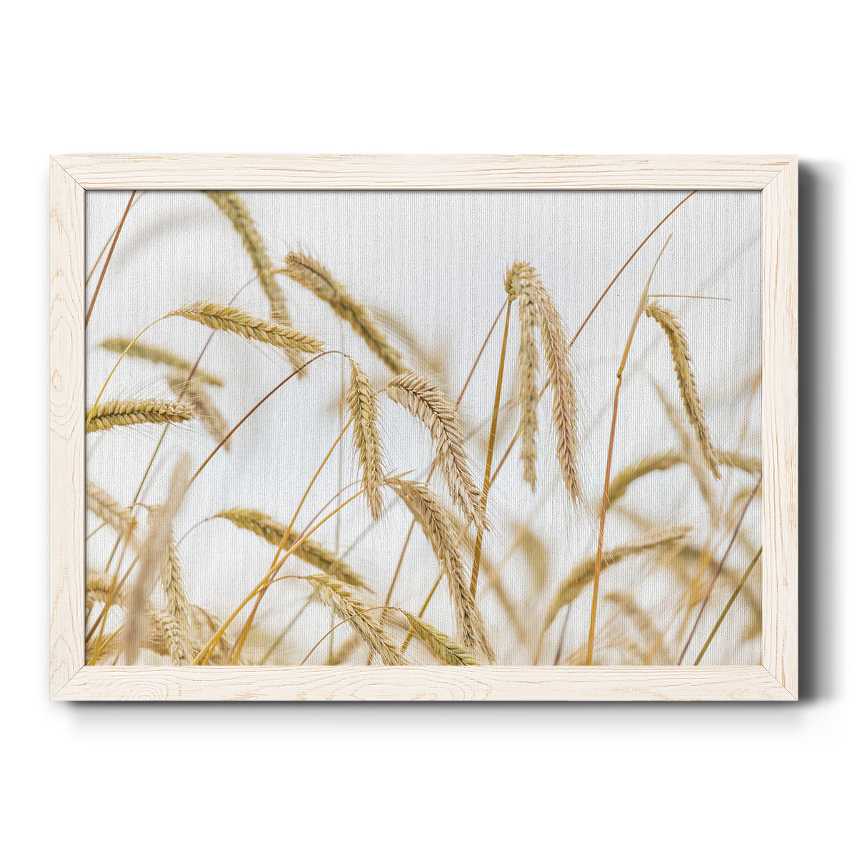 Wheat-Premium Framed Canvas - Ready to Hang