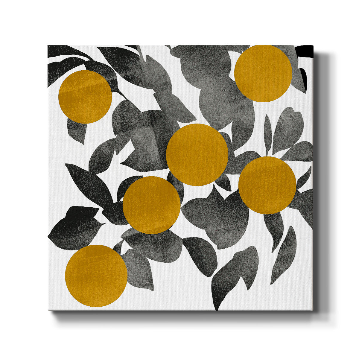 Shadow Branch IV - Canvas Art Print