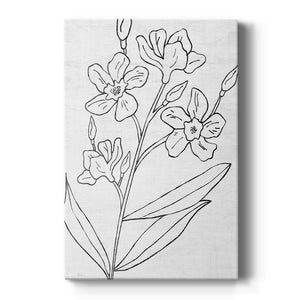 Botanical Sketch I Premium Gallery Wrapped Canvas - Ready to Hang
