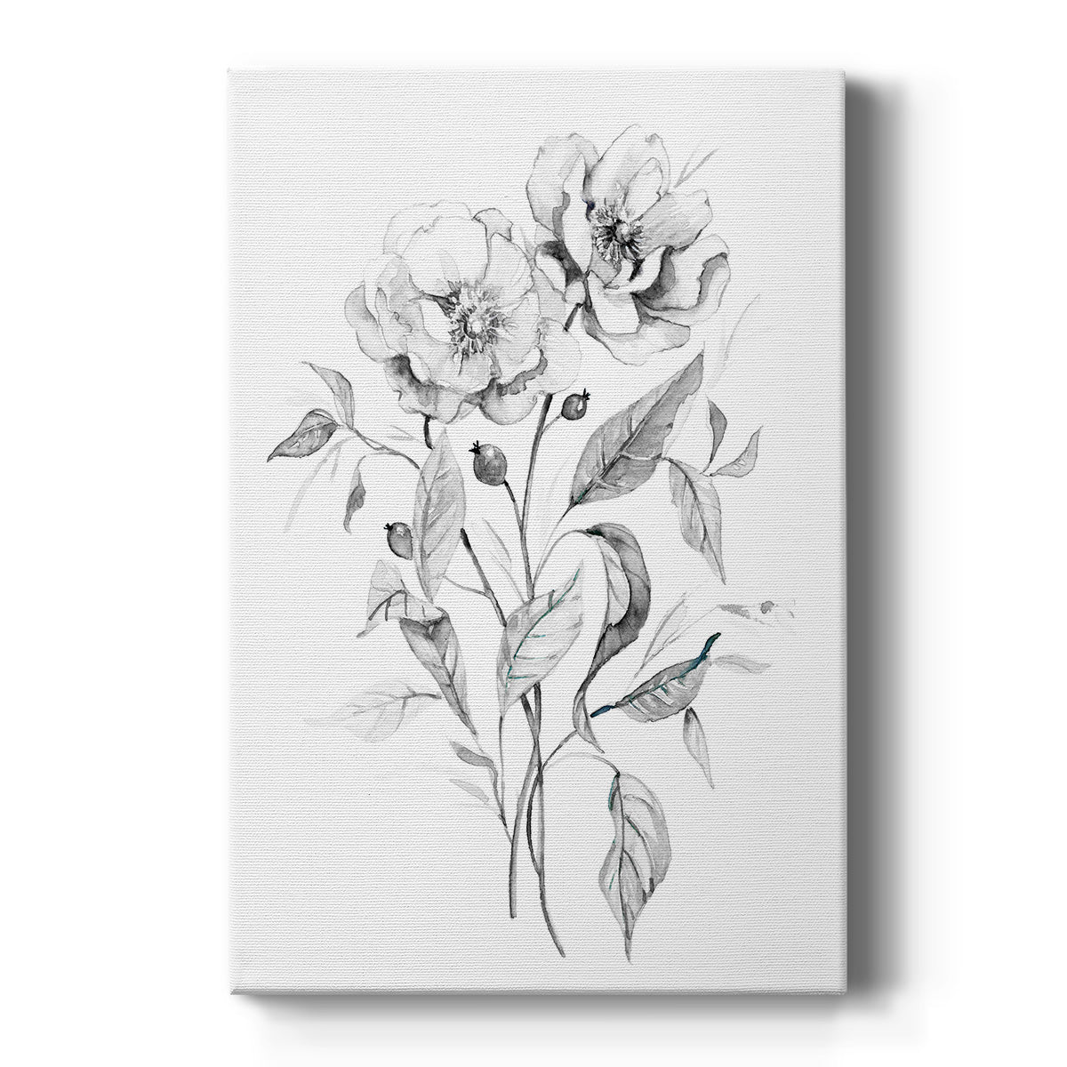 Wild Roses Sketch Premium Gallery Wrapped Canvas - Ready to Hang