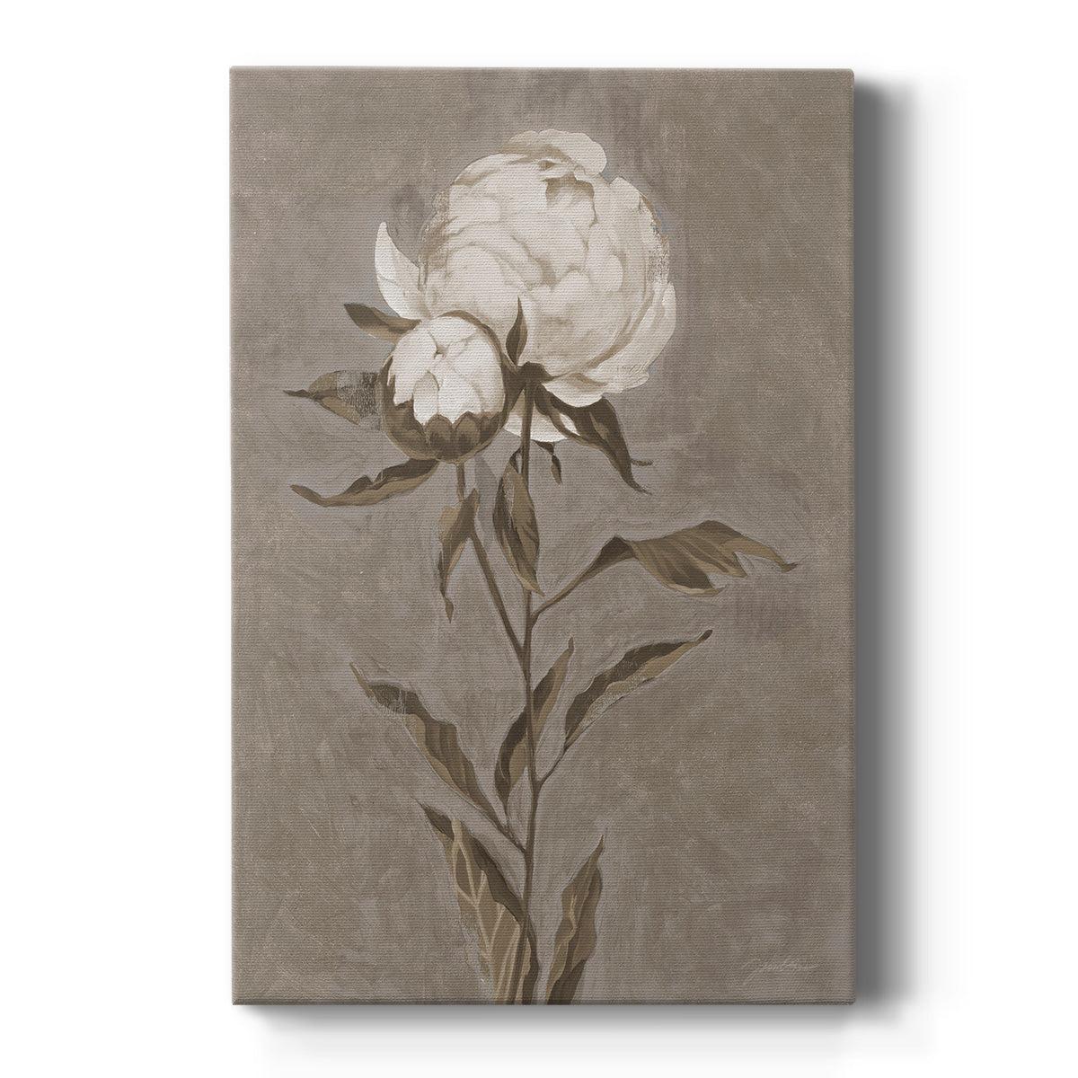 Pretty As A Peony II - Canvas Art Print