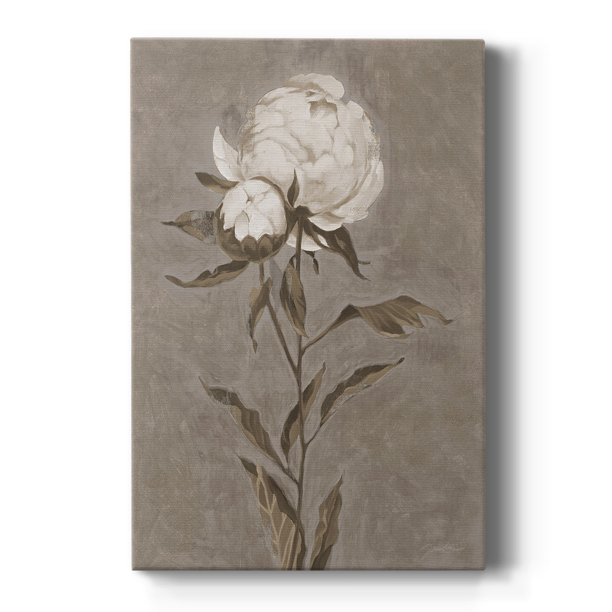 PRETTY AS A PEONY II Premium Gallery Wrapped Canvas - Ready to Hang